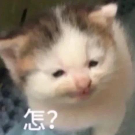超级无敌绝帅有钱的恶毒前夫