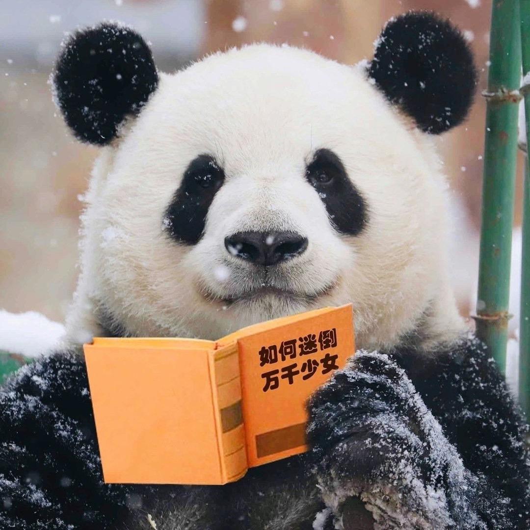 尘埃等闲