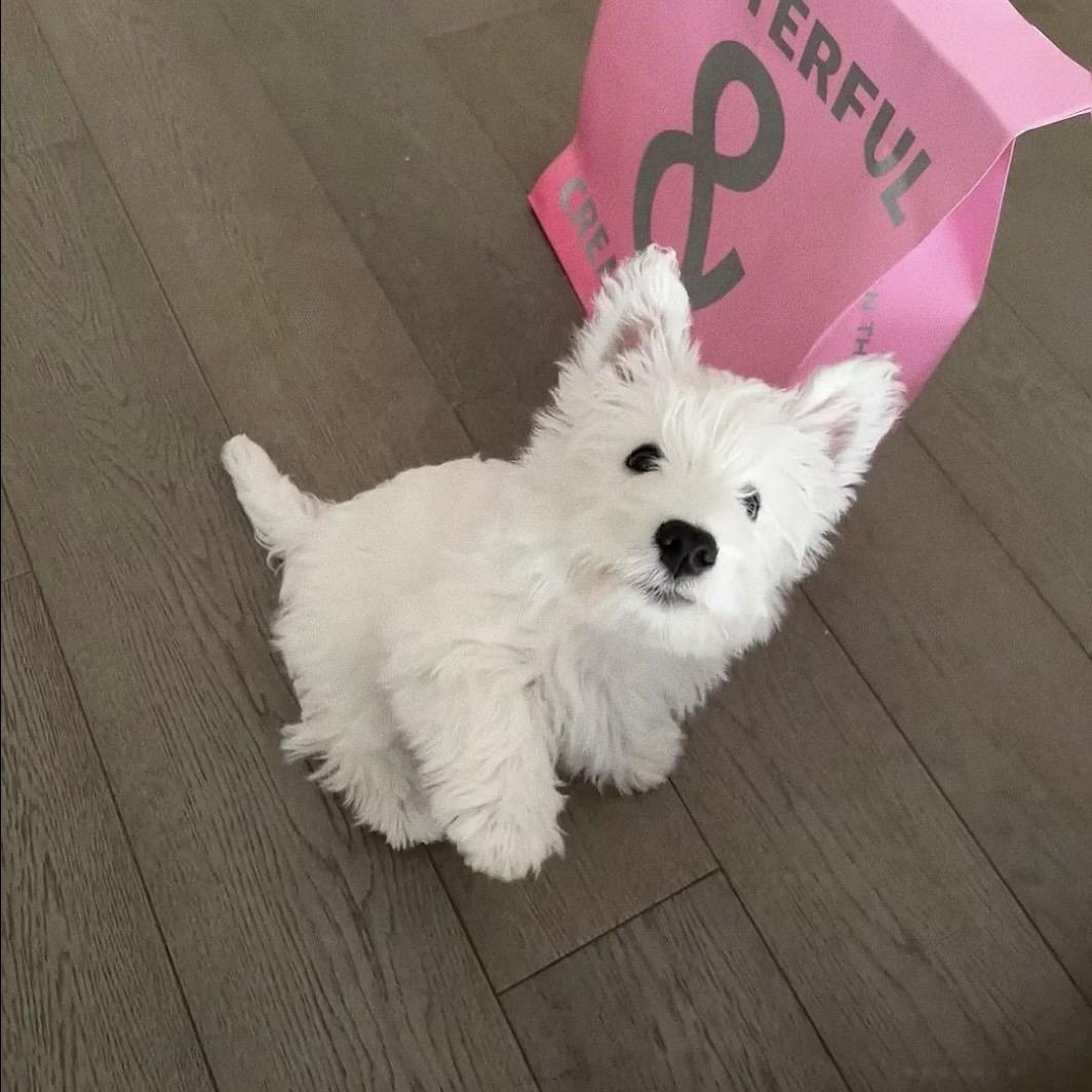 1.彤