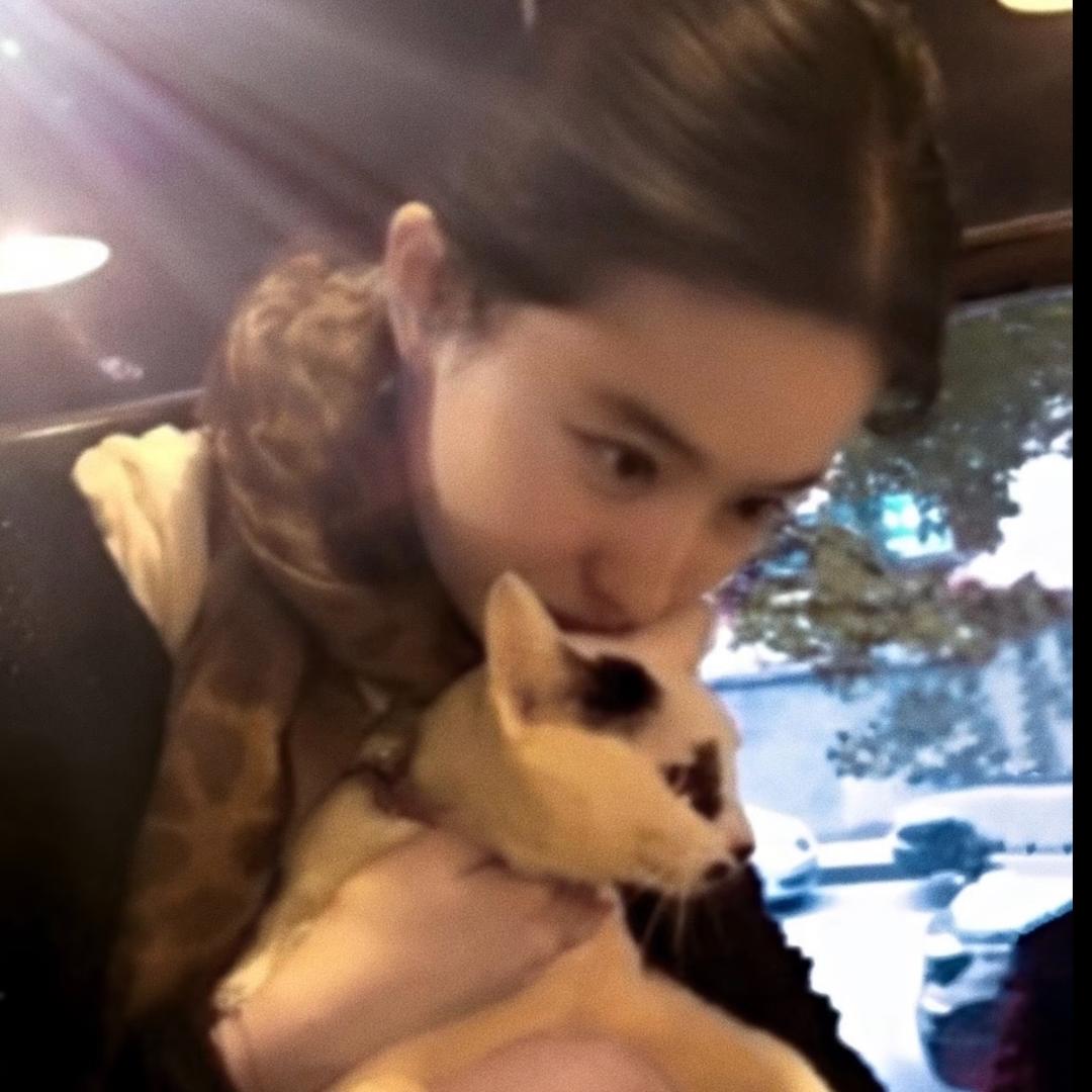 难过的黄瓜薯片🥒