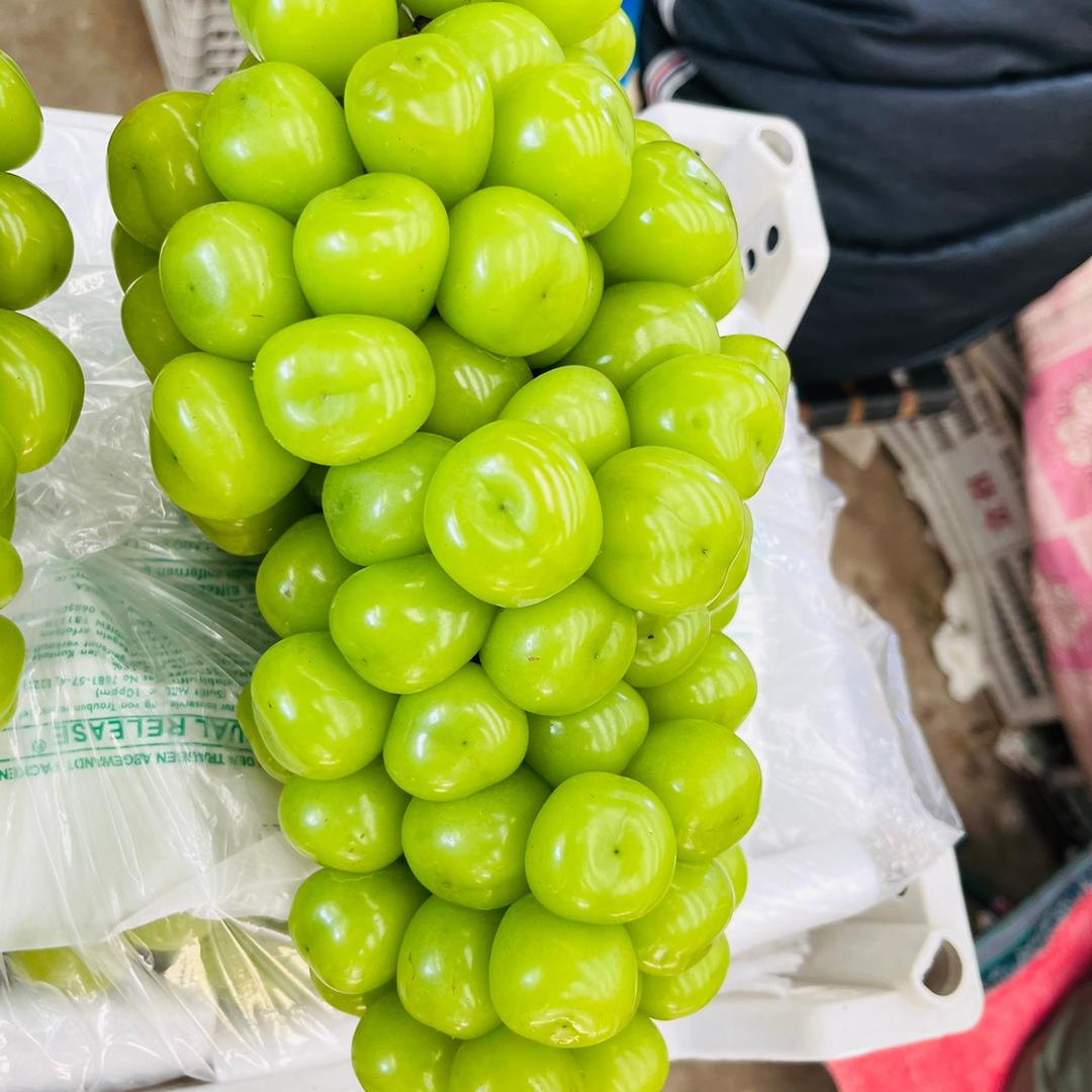 水果供应链（王琪）