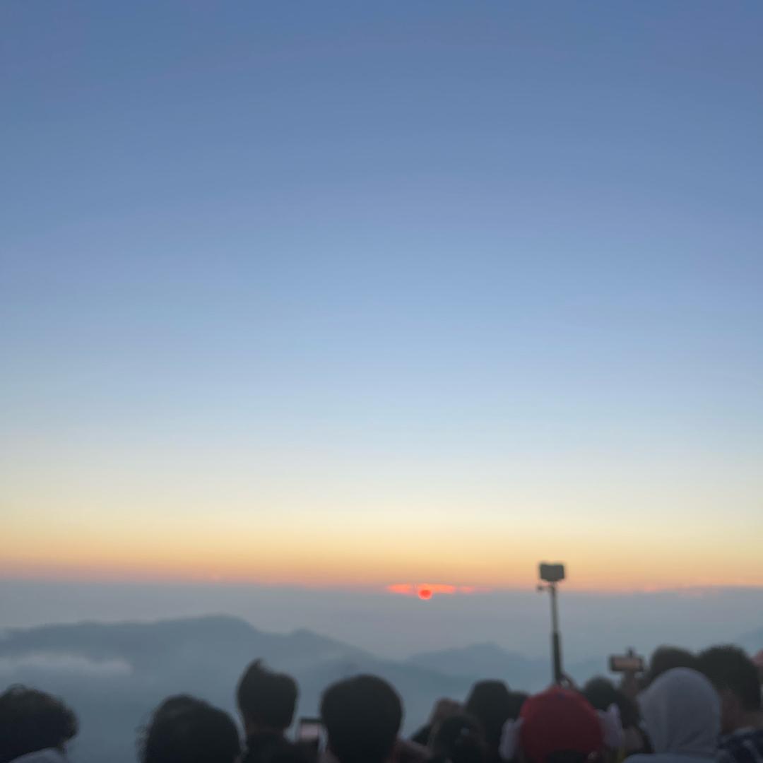 卖中高档礼品盒凤凰茶（500-1200）