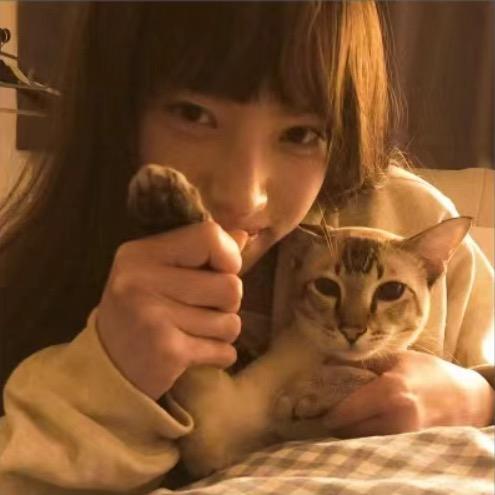 吃草草没