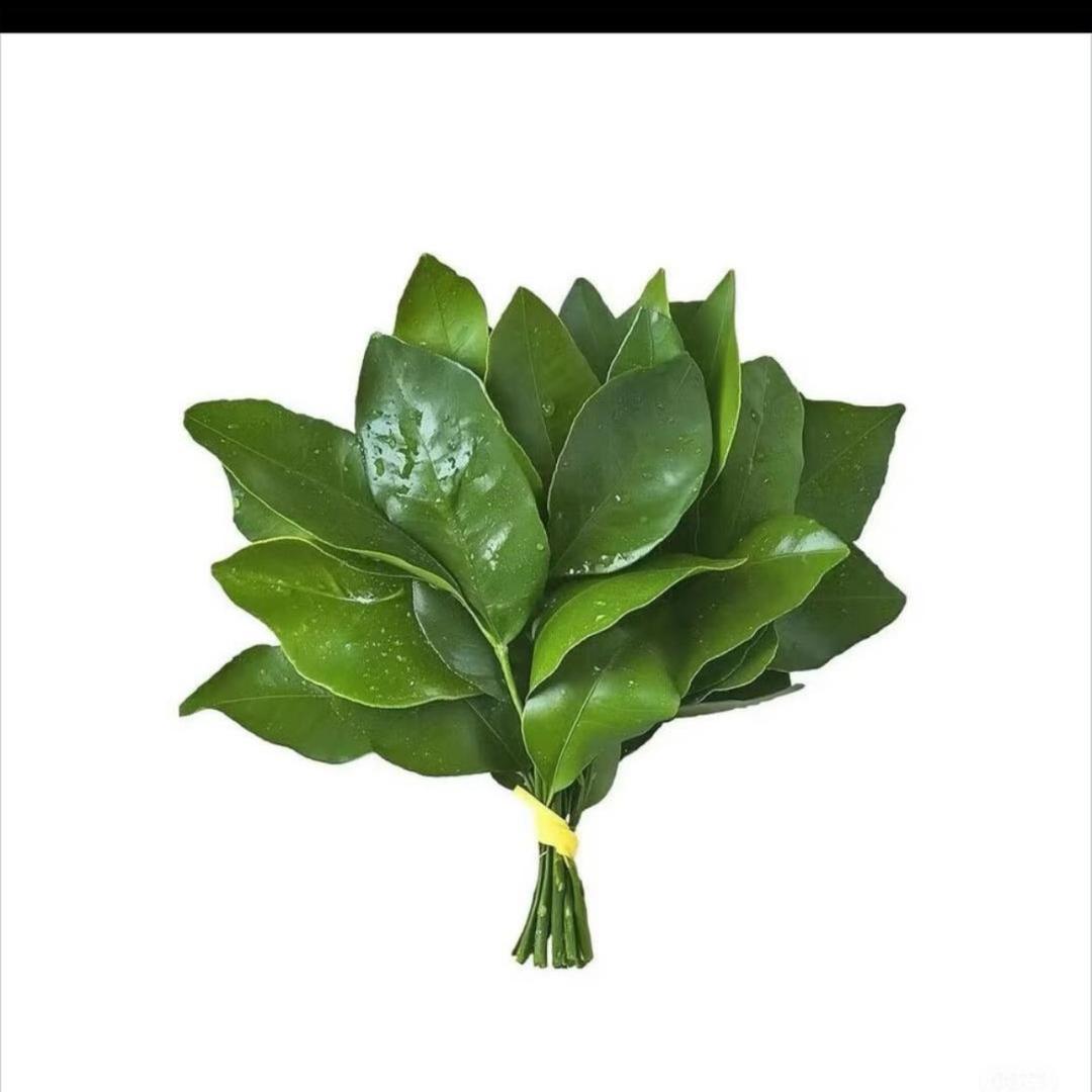 蓝天