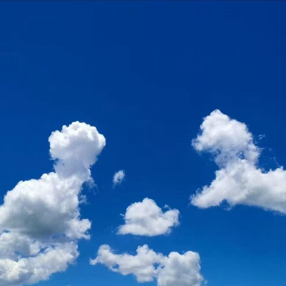 卓玛