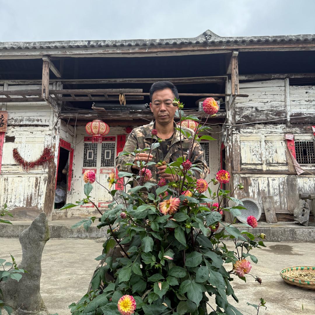 阿龙记录日常生活