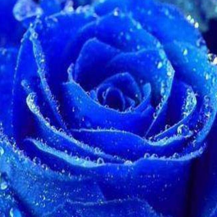 平凡🍒【忙、暂离】