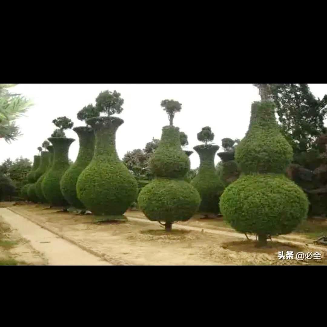 郯城县鲲鹏园林