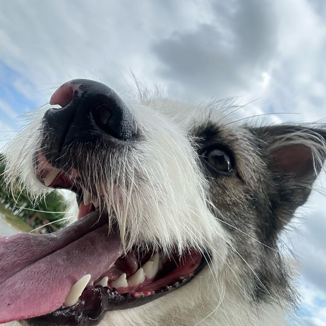 炉石传说～剑心