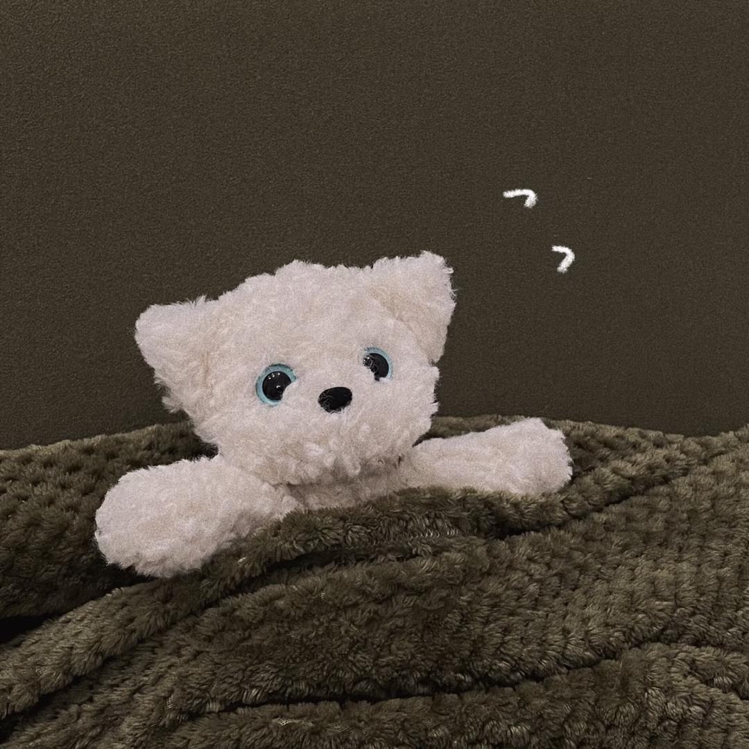 只只🧸