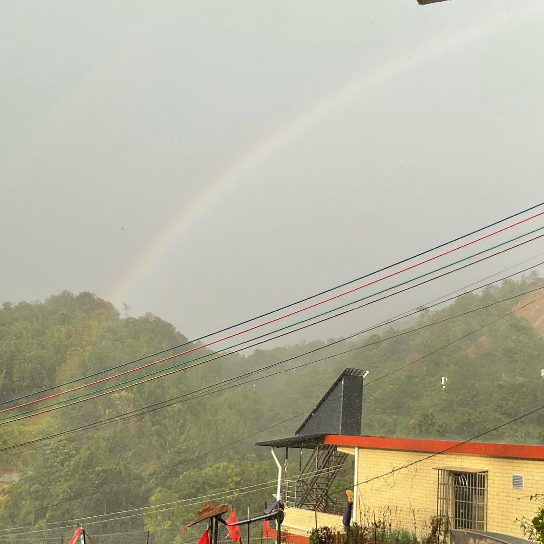 水果味的冰淇淋