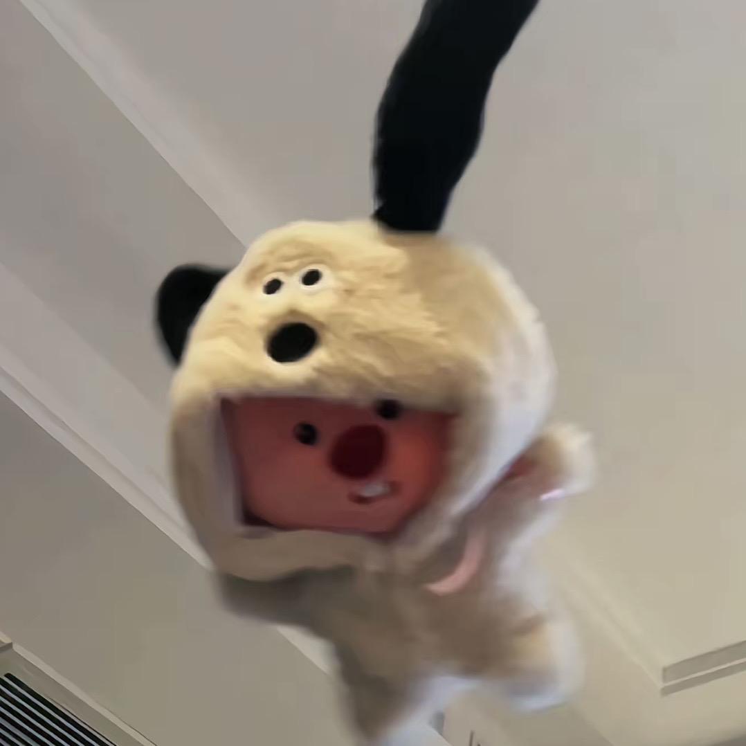 263333