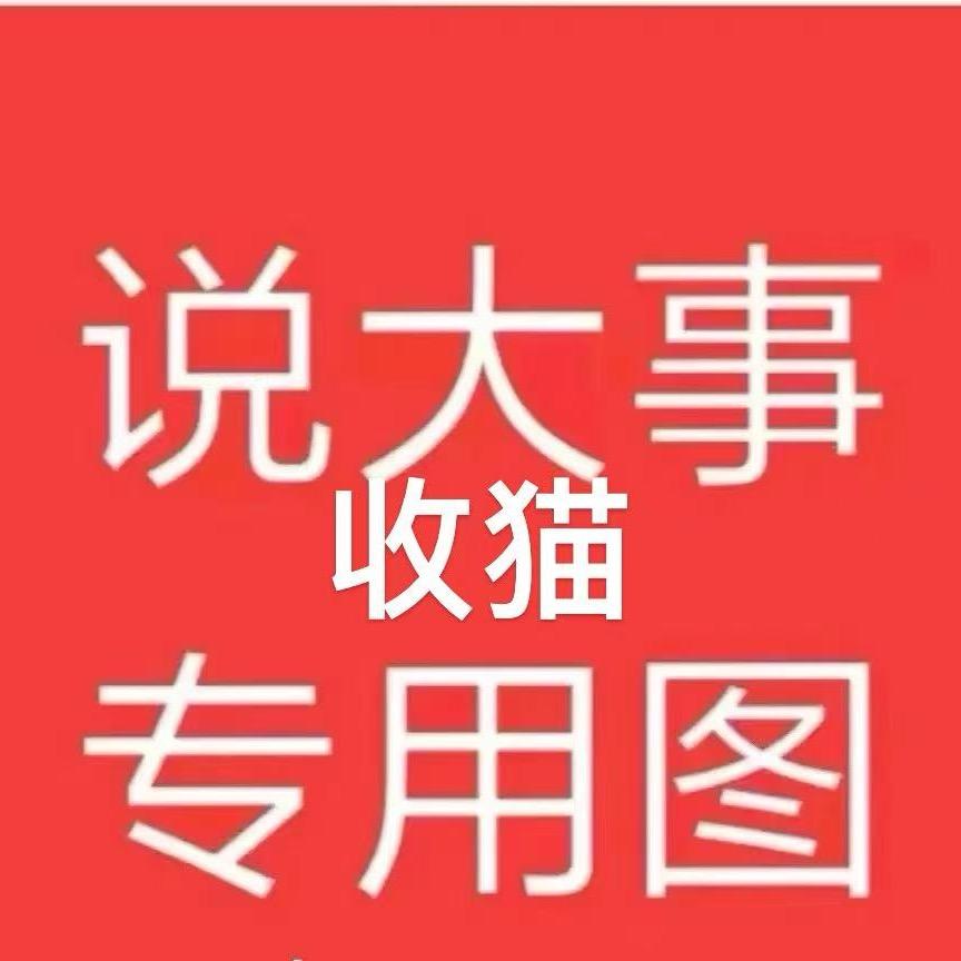 琴琴专业收猫