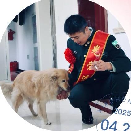 顾安