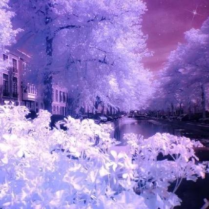 ℒᎭℯ⃝残雪❄️এ᭄ོ