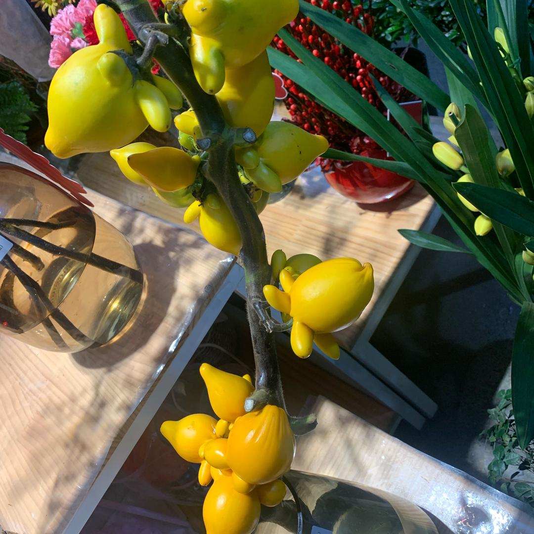 聊城启航集装箱