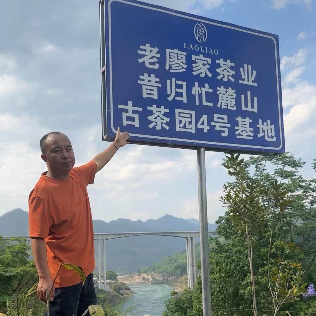 云南临沧古树茶源头～昔归茶农廖三妹