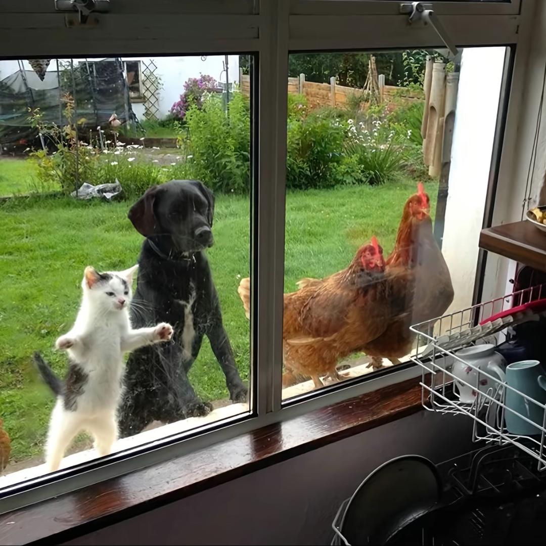 ٩(˃̶͈̀௰˂̶͈́)و