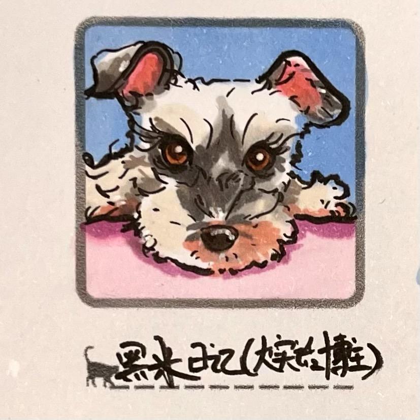 黑米日记（大实话博主）