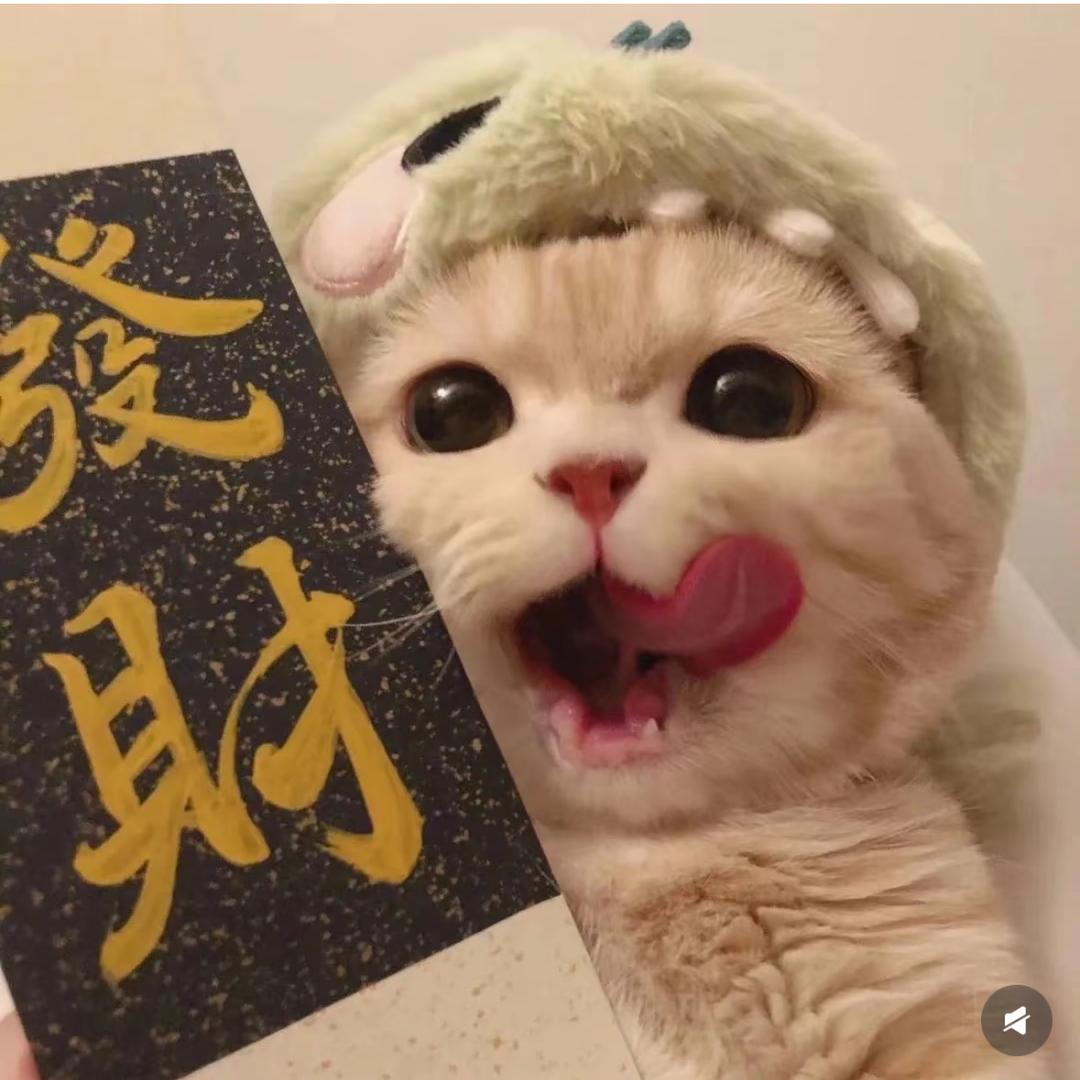 小喵喜欢鱼干