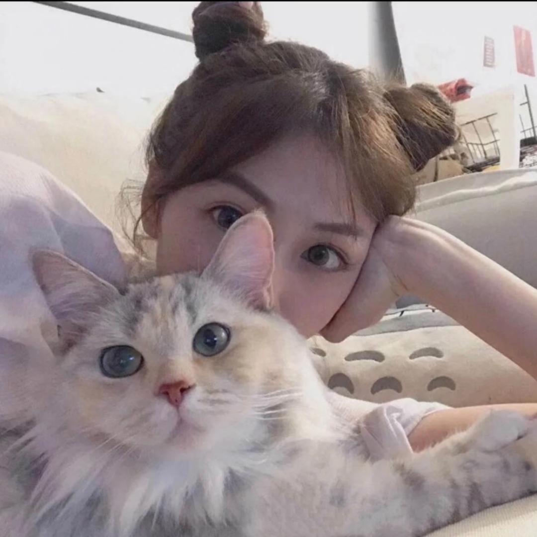 崽崽游戏