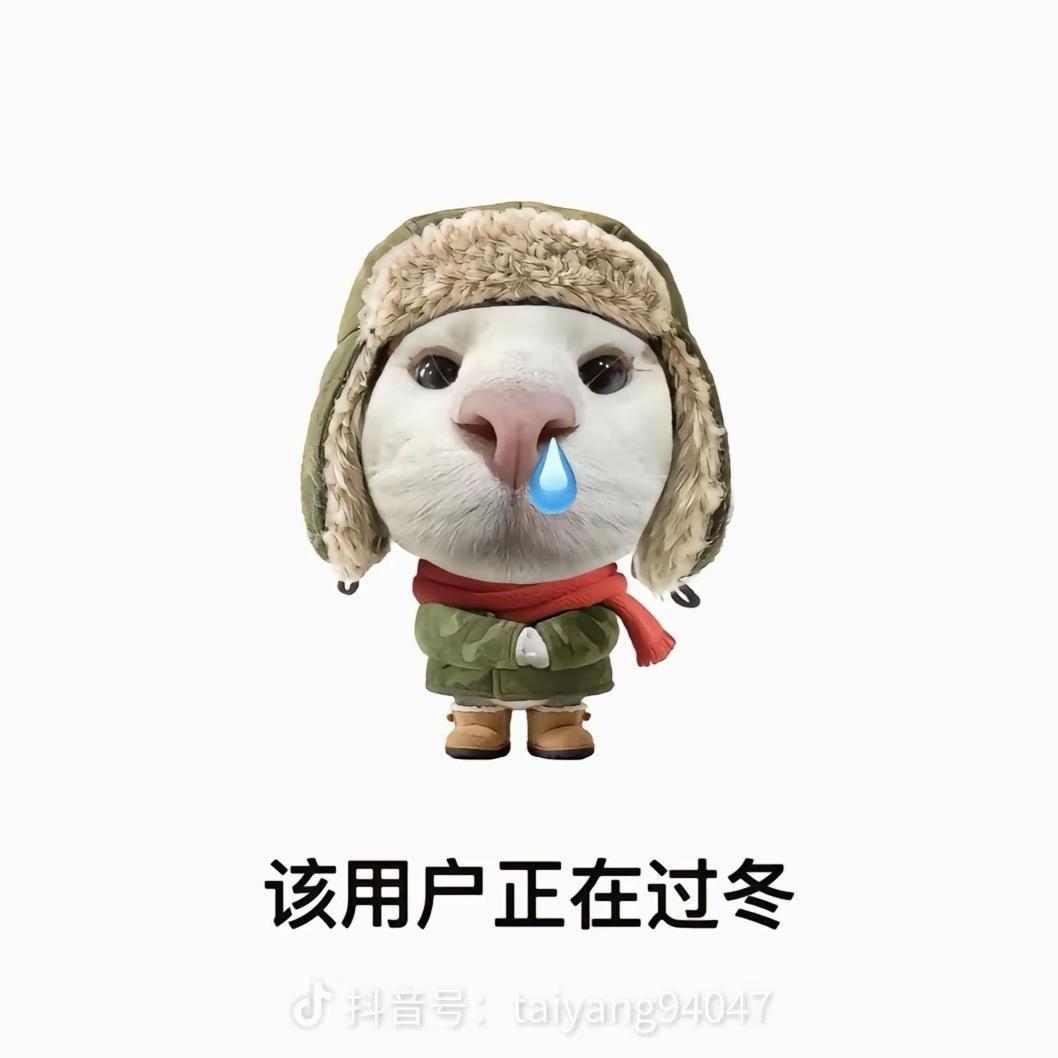 嗡嗡虫