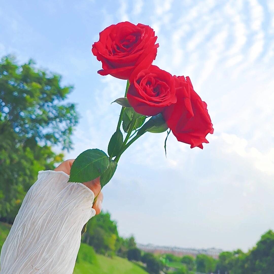 一切皆好(剪辑)