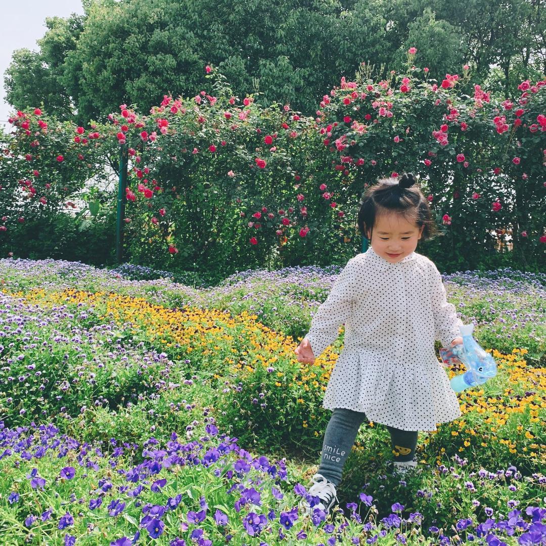 终不似 少年游