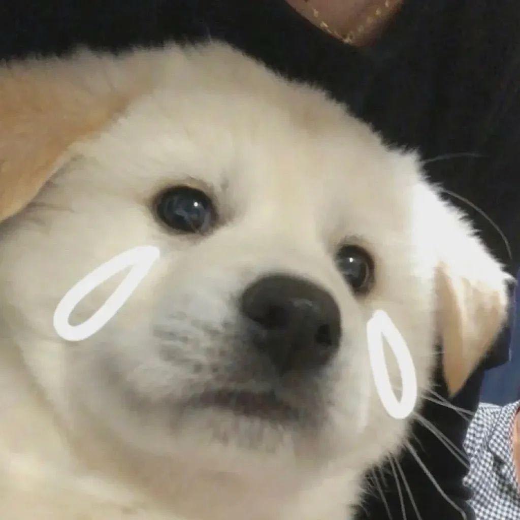 lyb
