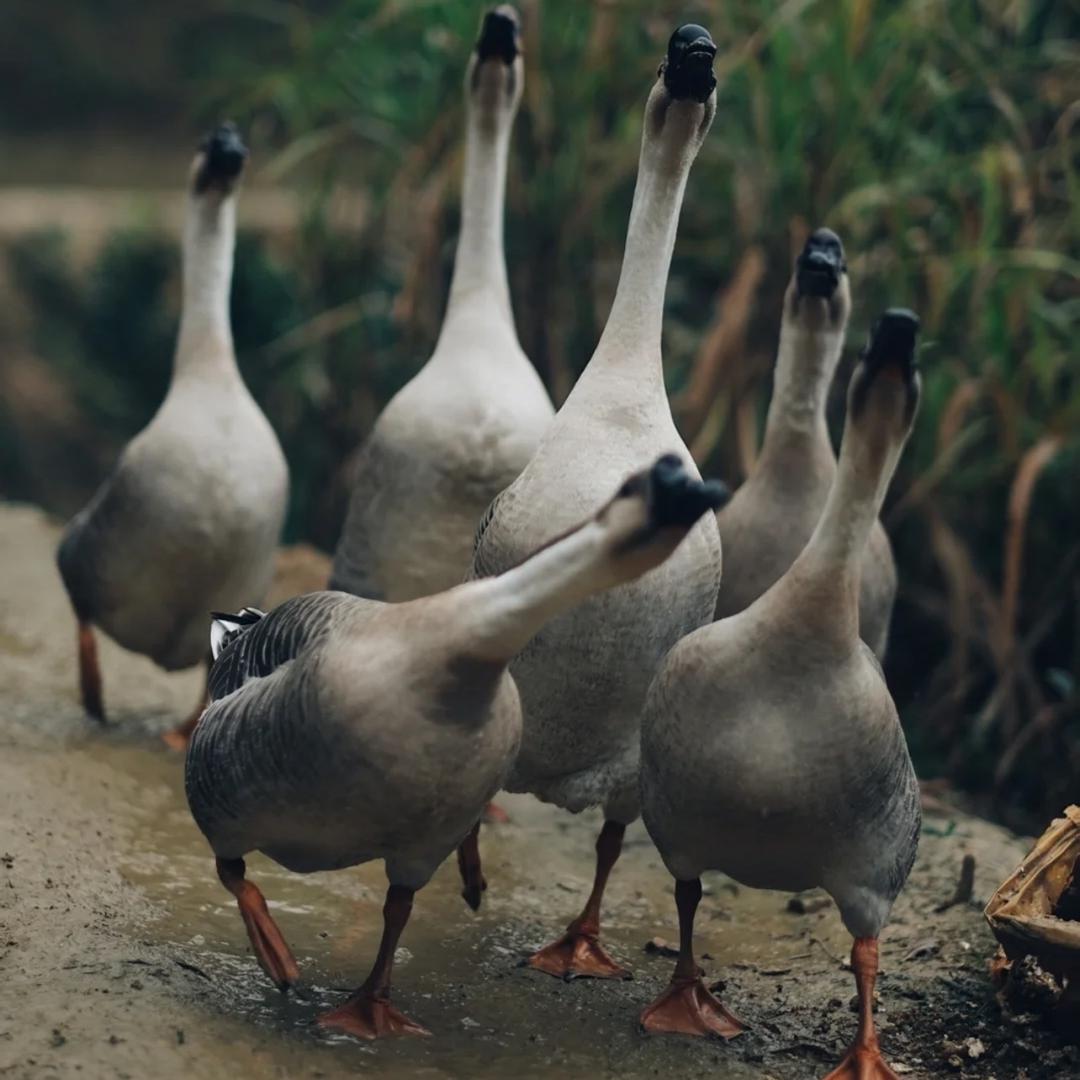 海口琼山千红润发超市商行