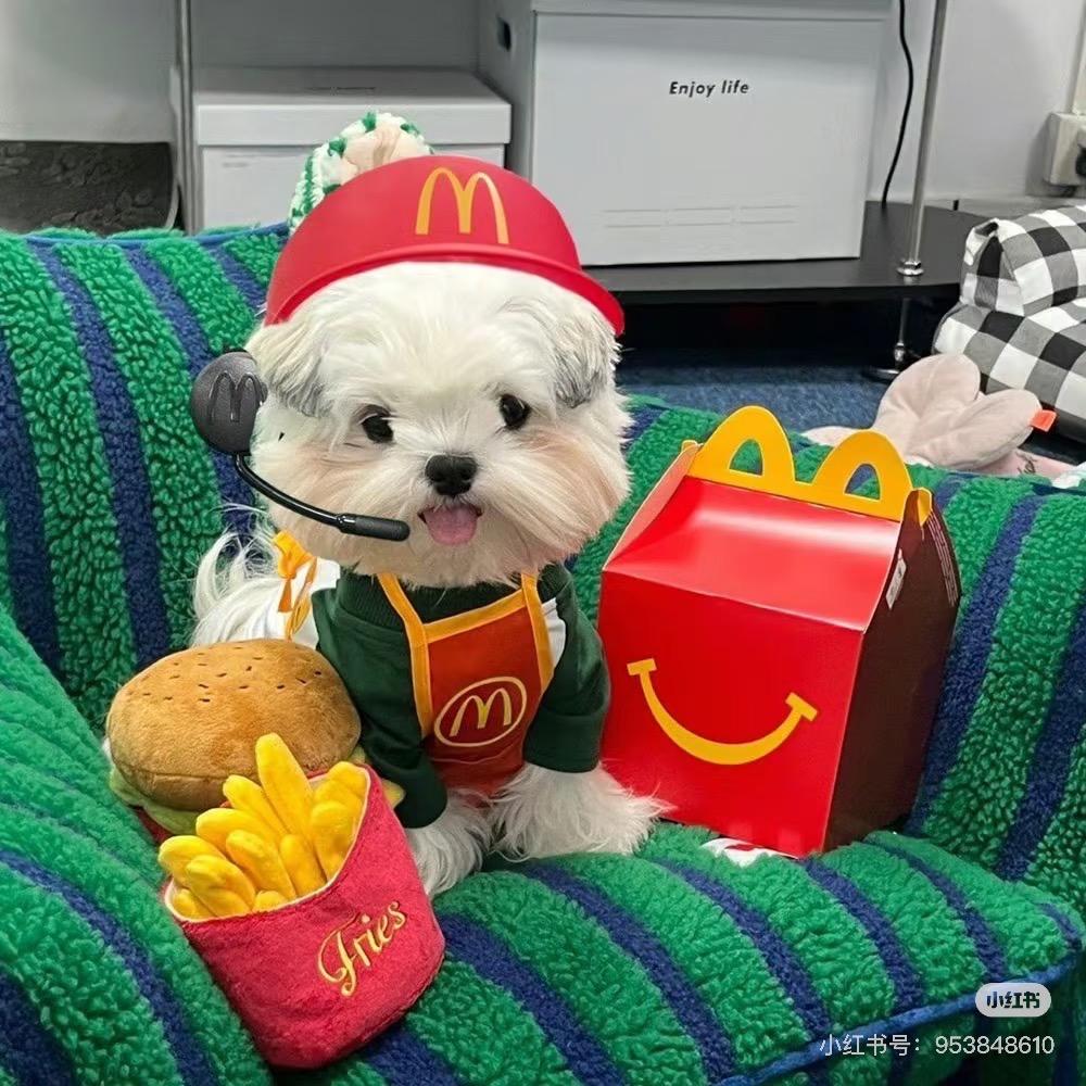 麦当劳财神酱🍟