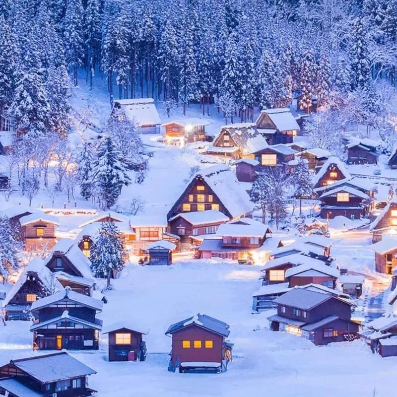 钦州全丰·东风风神店