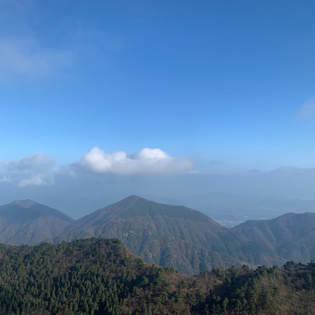 大东杨