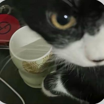 减肥失败倒立回北京