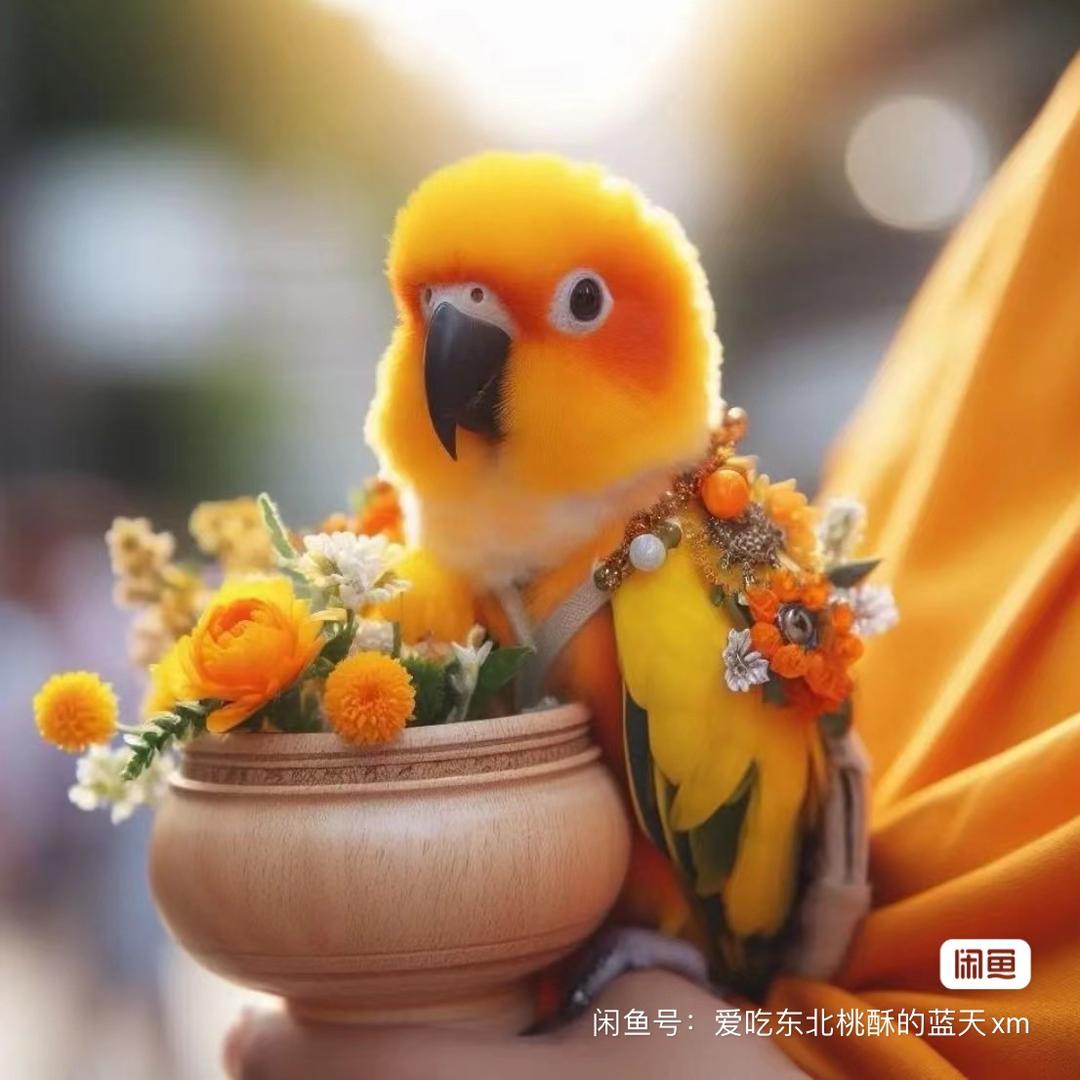 心情