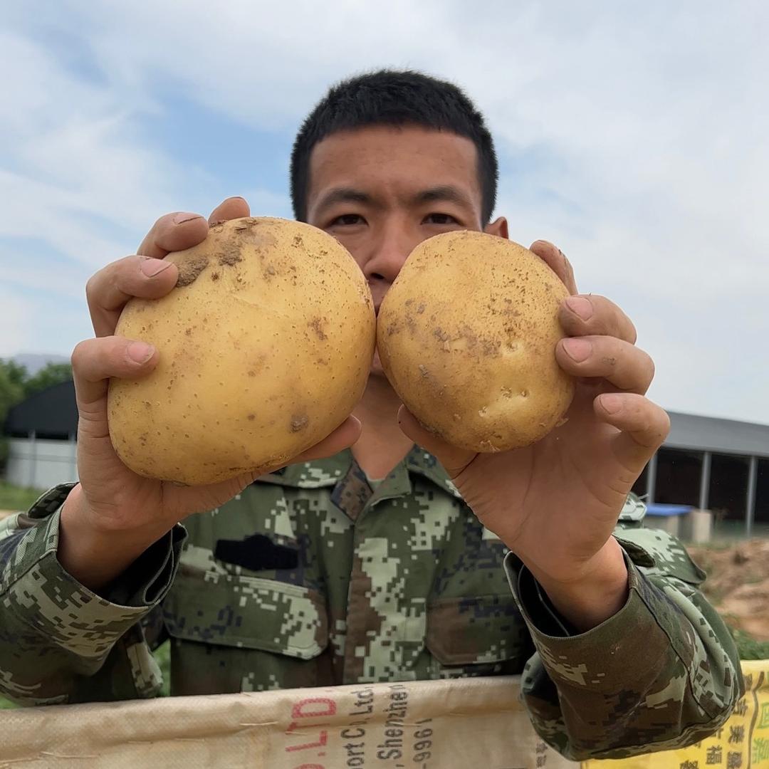 农村土豆哥
