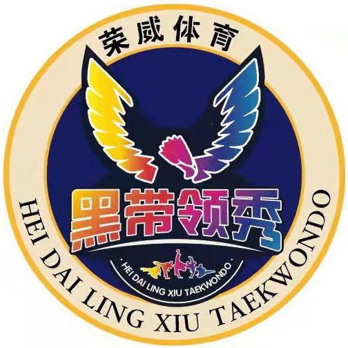 荣威体育跆拳道搏击