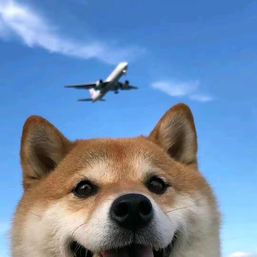 香喷喷