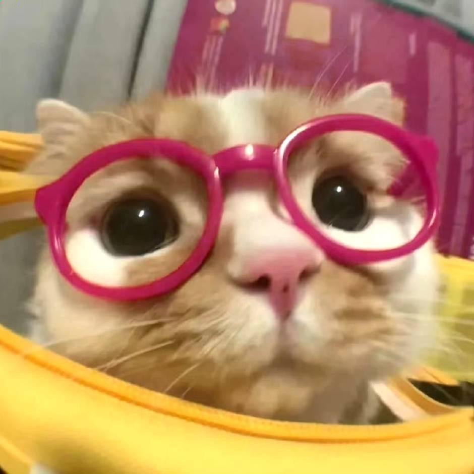 吃梨花（二级灯牌送蛇）