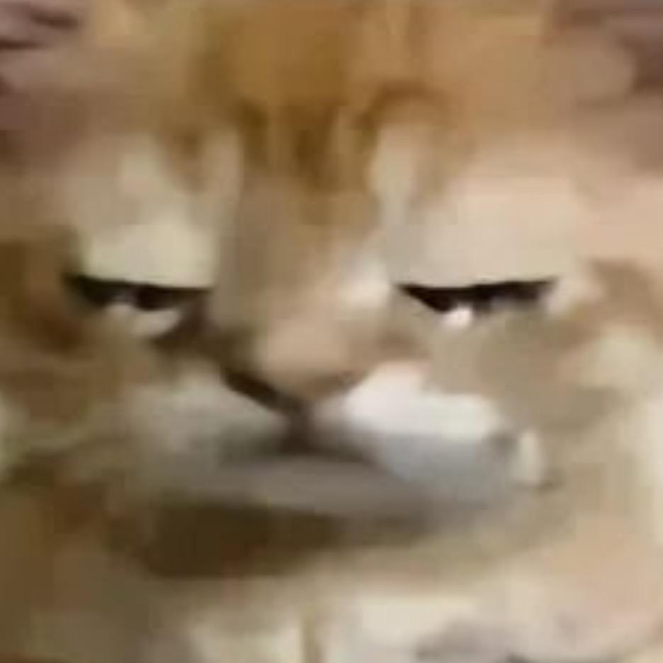 咪咪咪