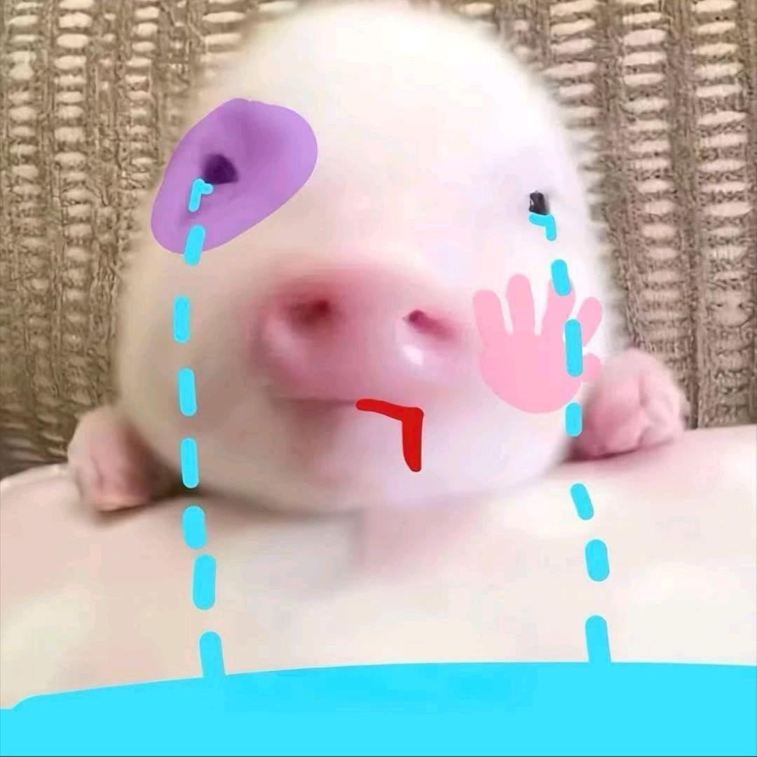 老公出轨我打瓦