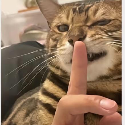 太格游泳馆李教练