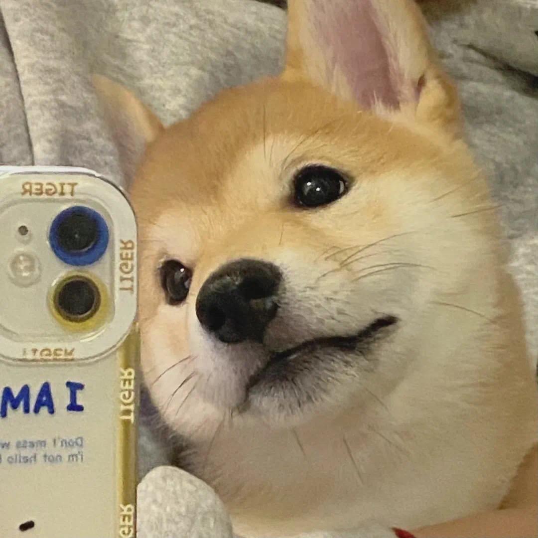 OoOX_OoOX