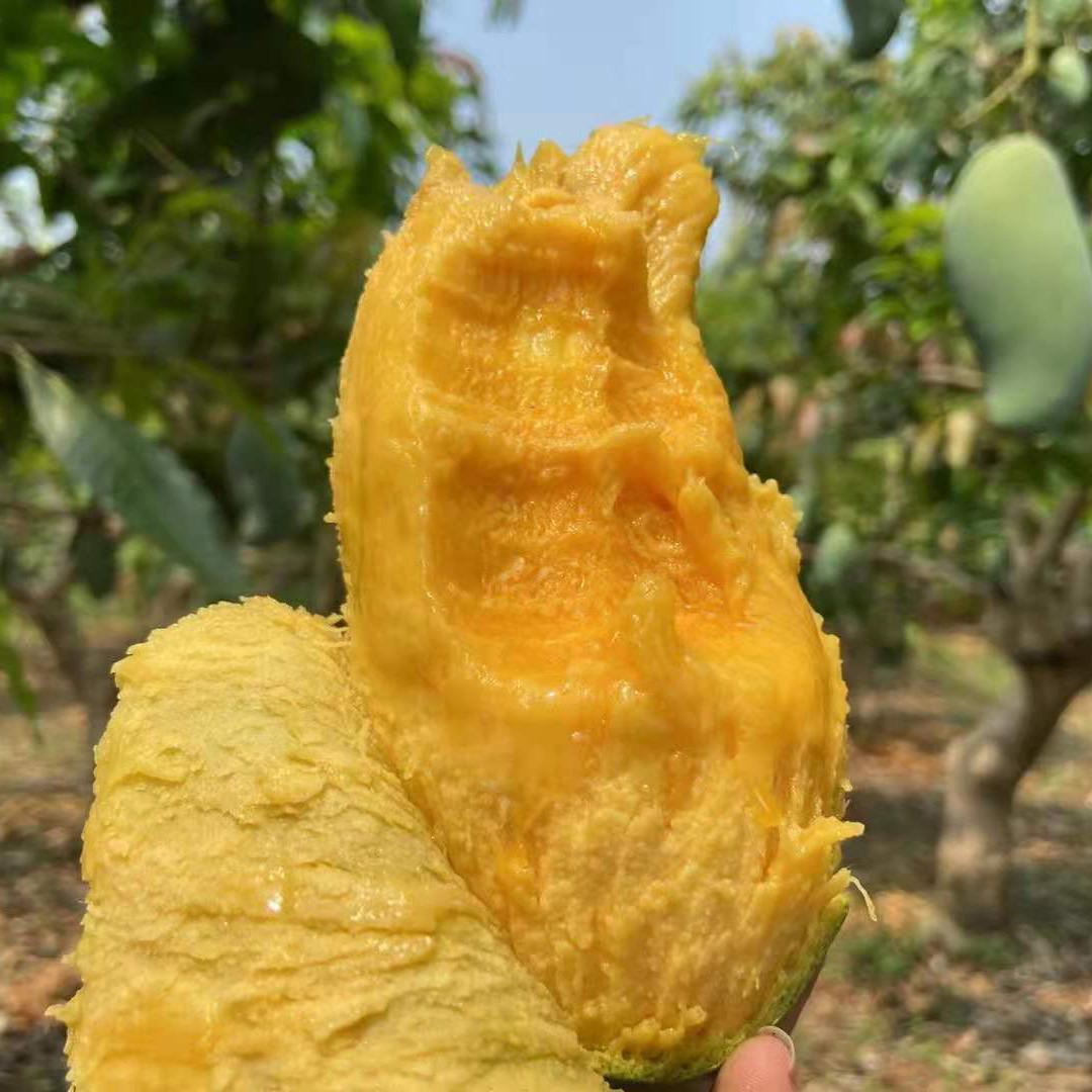 吃货小星球