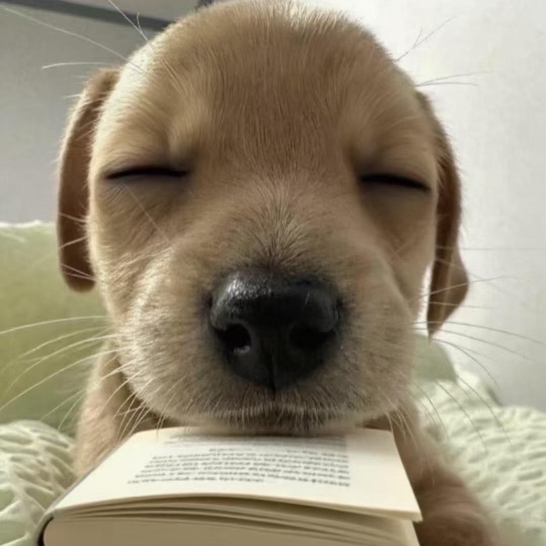 断了的弦.