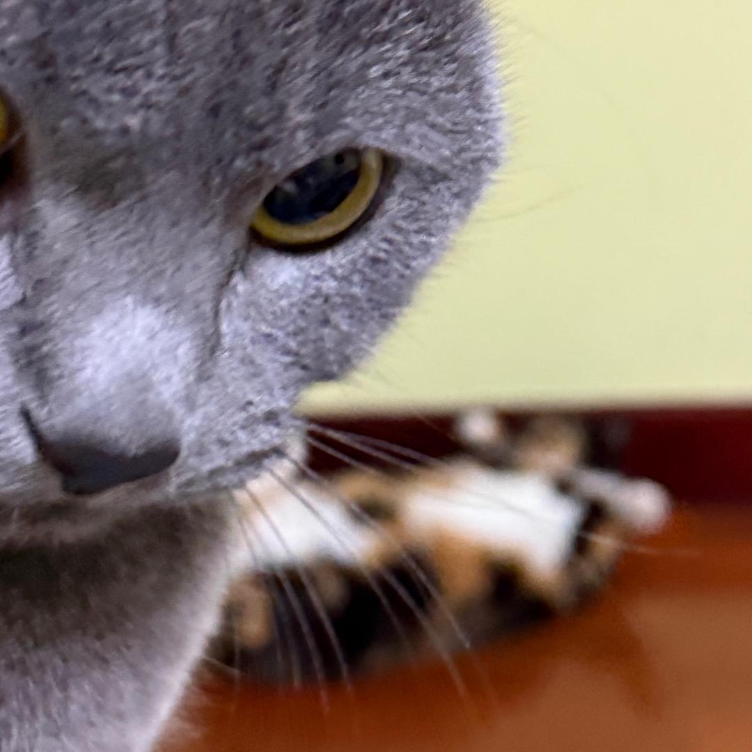 初一和十一的朋友圈