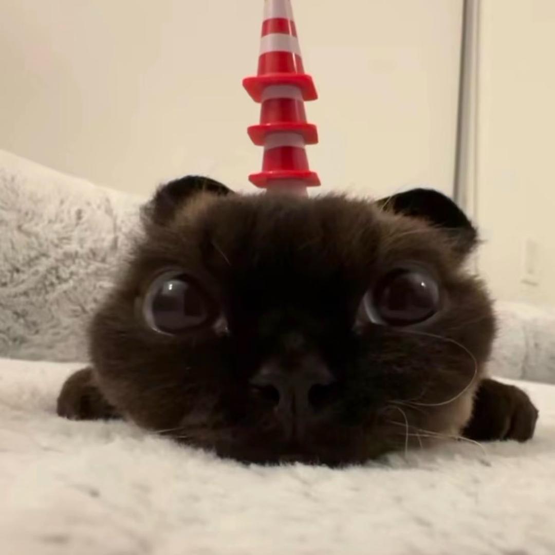 Hua