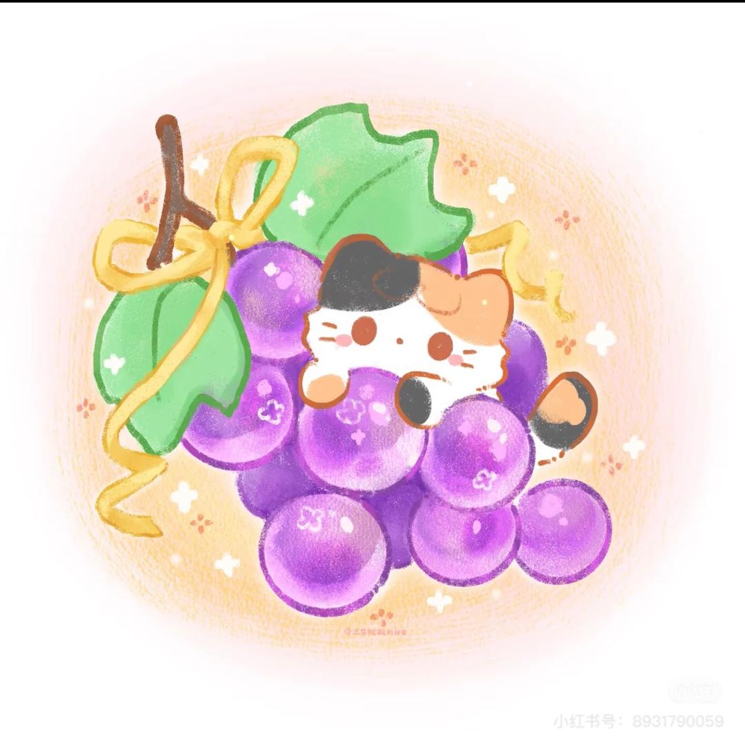 可以炖汤的陈皮.