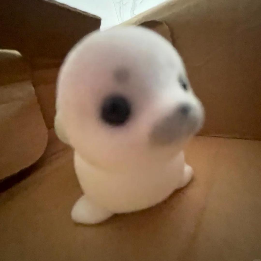 单取移除粉丝啊猪精