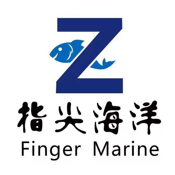 指尖海洋